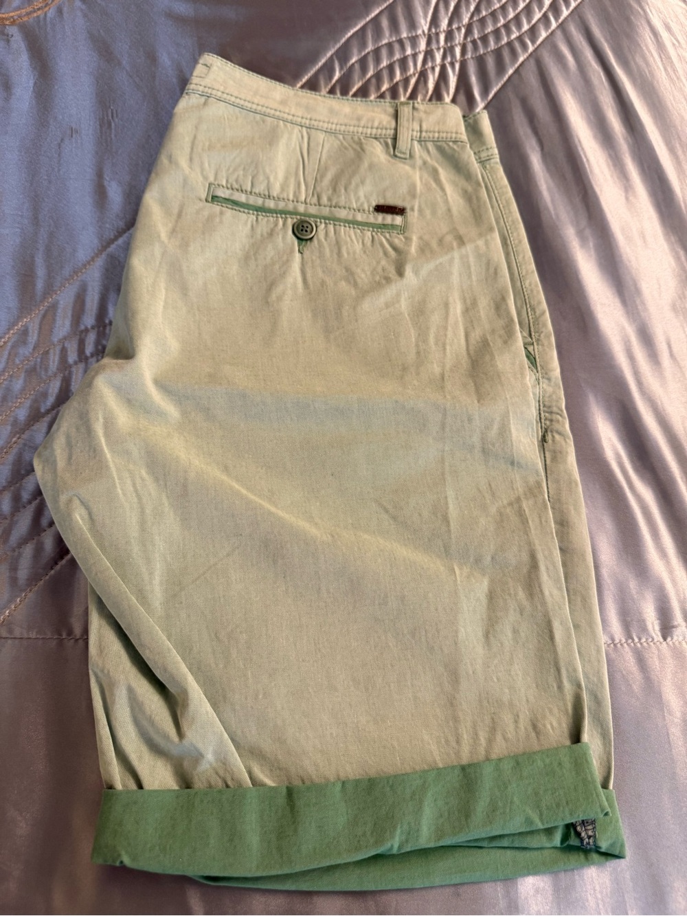 Men's Sage Green and Blue Flat-Front Cotton Shorts